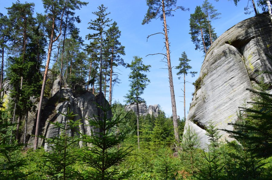 Falaises de grès dans la ville rocheuse d’Adršpach-Adršpach en Tchéquie