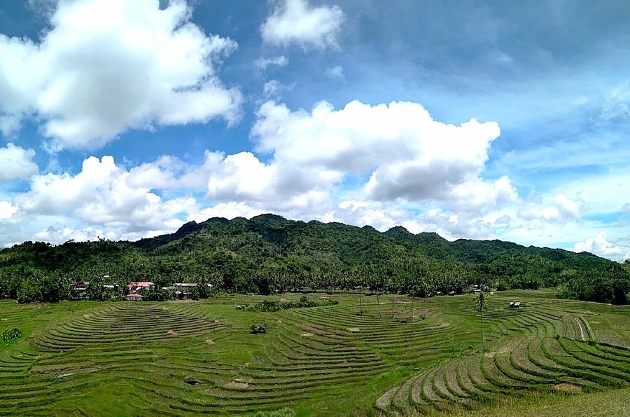 Rizières en terrasses de Cadapdapan à Candijay sur Bohol