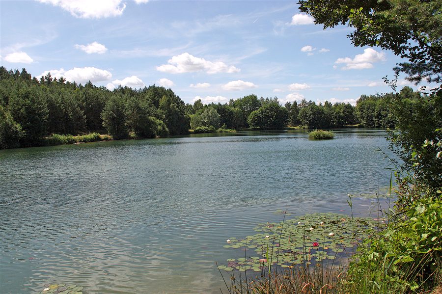 Plan d’eau de gravière près de Vierhöfen à l’extrémité orientale de la lande de Lunebourg