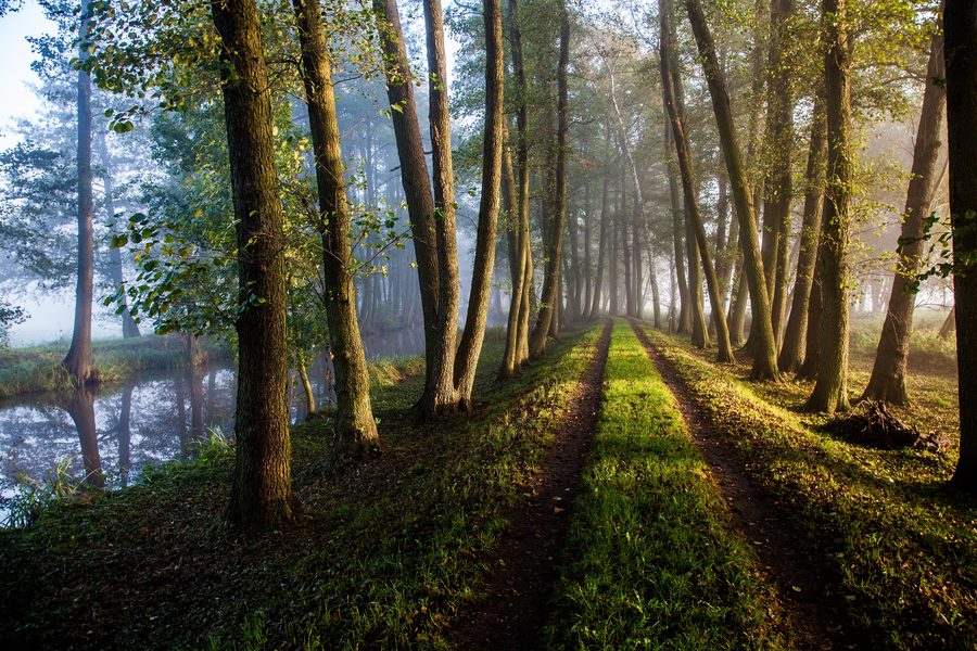 Randonnées à vélo sur la piste cyclable du concombre dans le Spreewald
