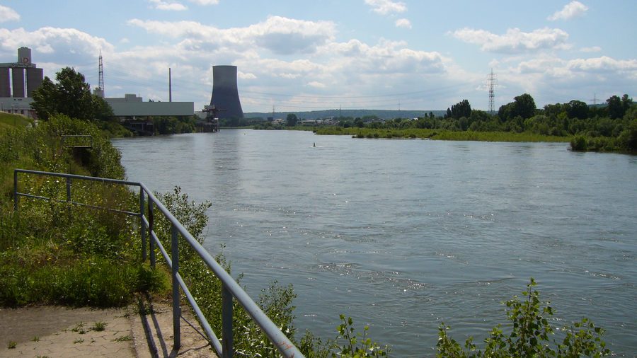 Weißenthurmer Werth dans le Rhin à Weißenthurm