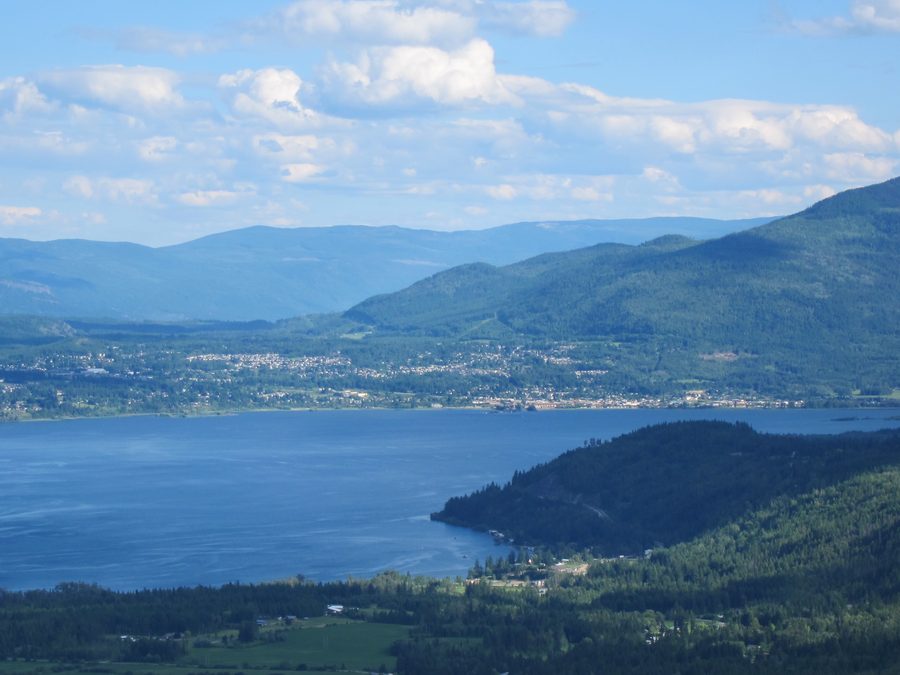 Vue depuis les Tappen Bluffs sur Salmon Arm et le lac Shuswap en Colombie-Britannique