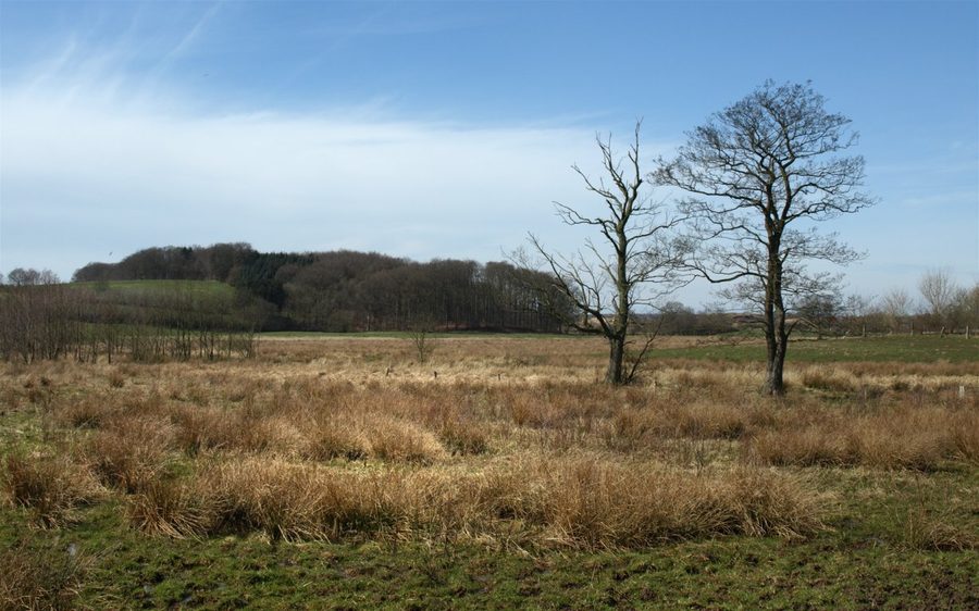 Vallée de l’Eider supérieure dans le Schleswig-Holstein