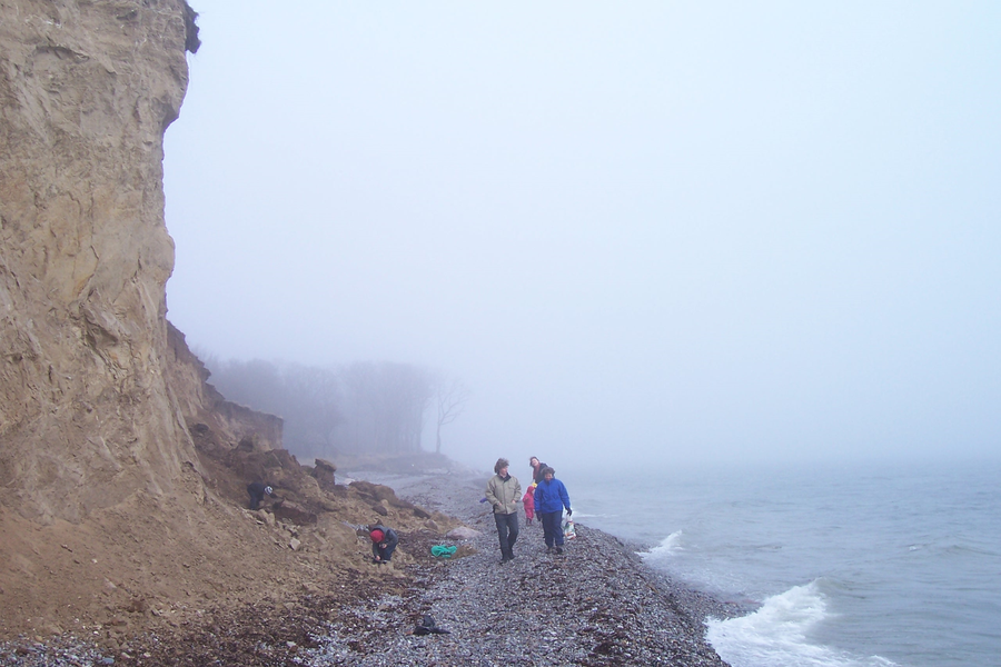 Érosion côtière sur le littoral de Langeland
