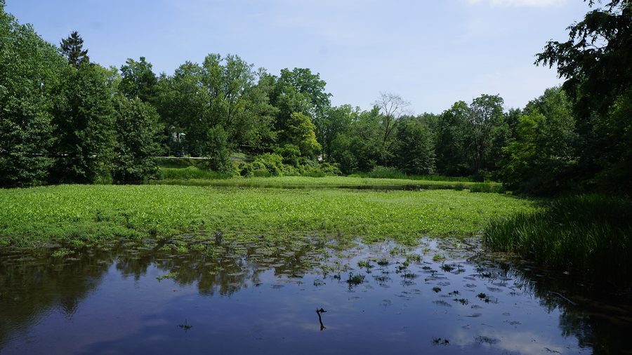 Centreville Conservation Area en Ontario