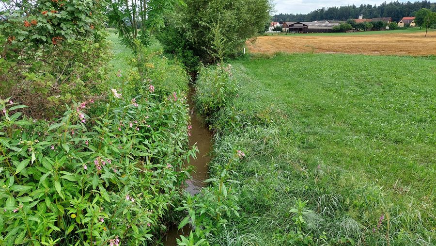 Le Lusenbach sur la L336 près d’Attendorf en Styrie
