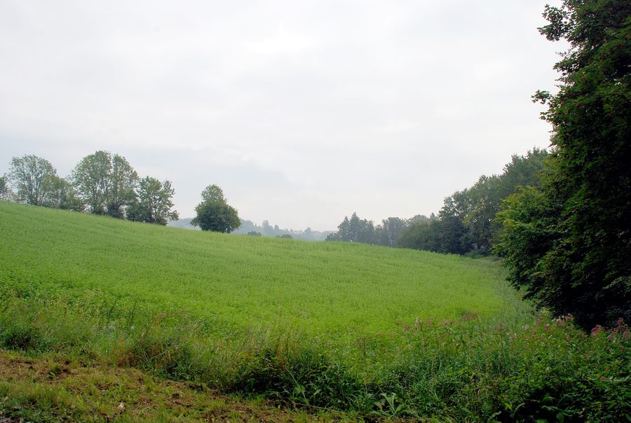 Paysage près de Tobis à Preding en Haute-Styrie occidentale