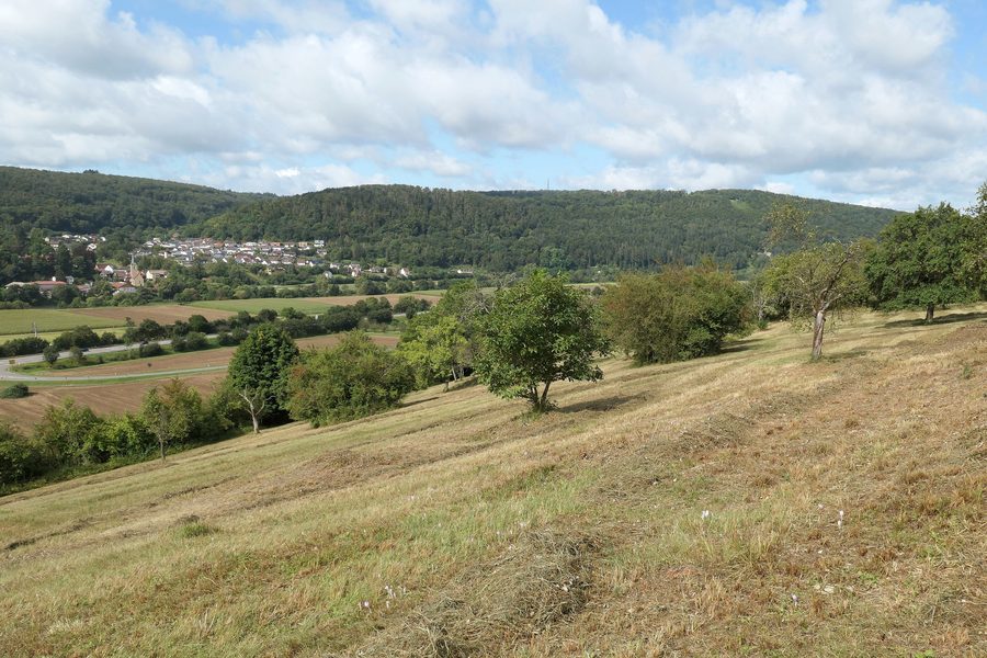 Réserve naturelle d’Auweinberge-Fuchsenloch près de Mosbach avec vue sur Hochhausen et la vallée du Neckar