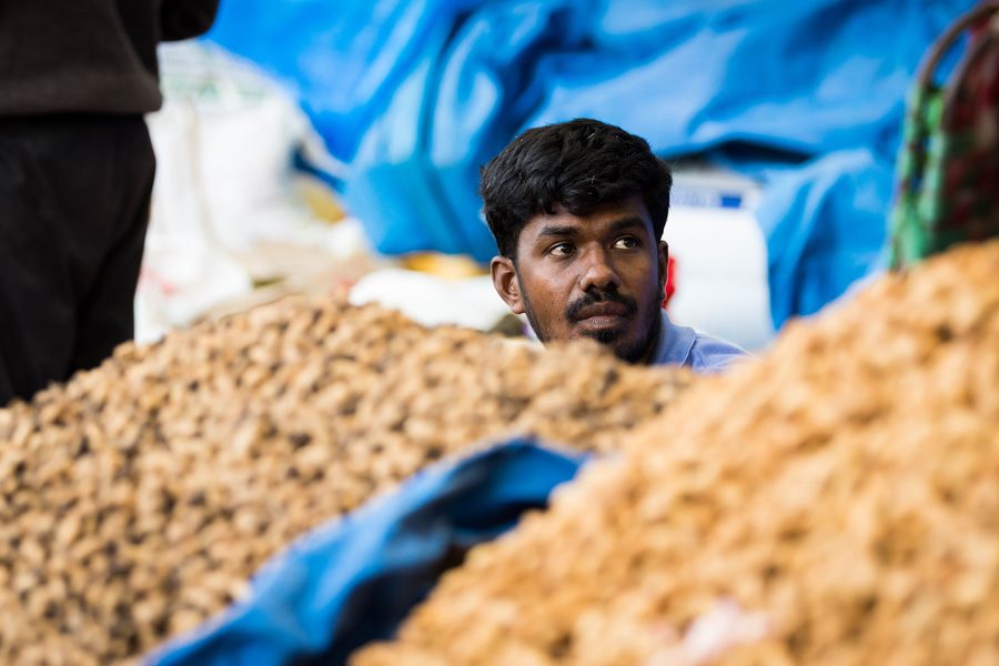 Étalages de marché lors de la fête de l’arachide Kadlekai Parishe à Basavanagudi, Bengaluru