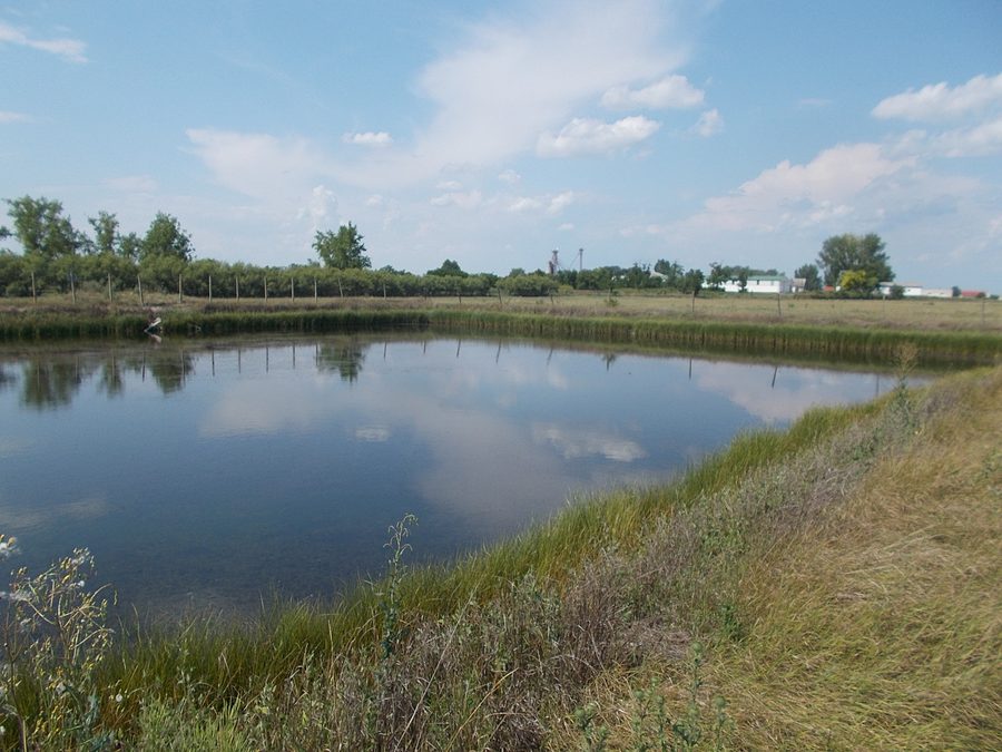 Petit réservoir dans le parc national du Kiskunság près de Kunszentmiklós