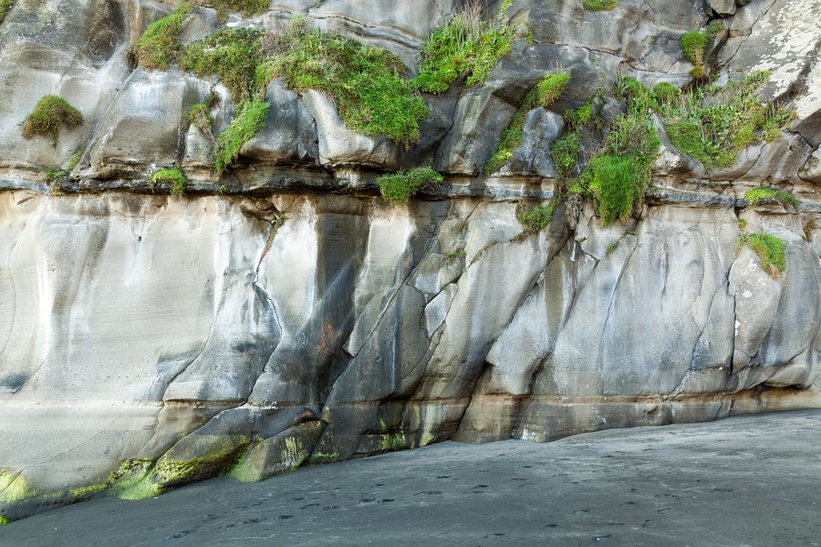 Falaises de Muriwai Beach sur la côte ouest près d’Auckland