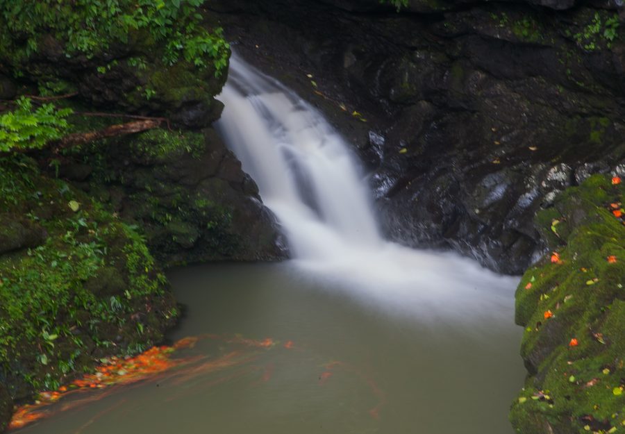 Petite cascade sur la route de Hana à Maui