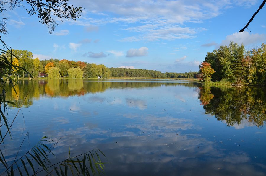 Lac Sonnensee près de Flachslanden dans le paysage rural de la Moyenne-Franconie