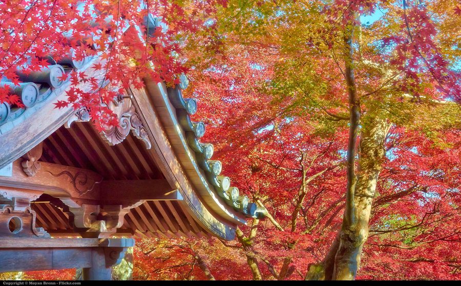 Toit de temple à Arashiyama, Kyoto