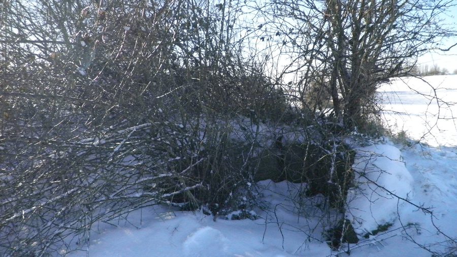 Jættestue d'Ennebølle à Langeland