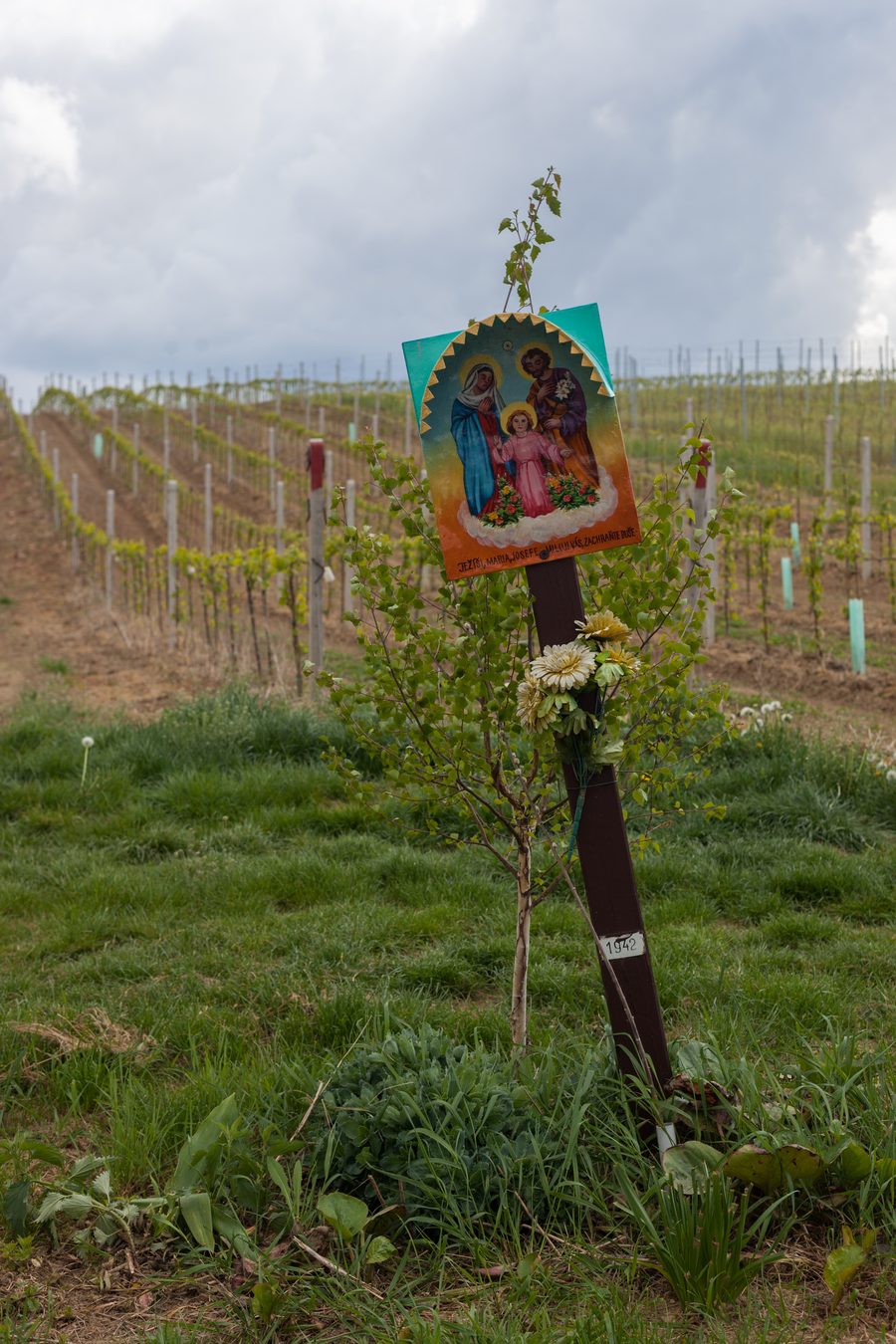 Colonne viticole dans les vignobles près de Čejkovice en Moravie du Sud