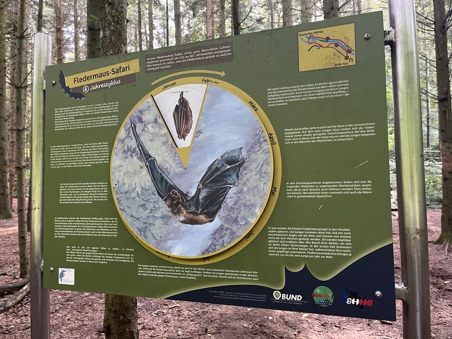 Panneau d'information sur le safari des chauves-souris dans le parc de la Schwentine