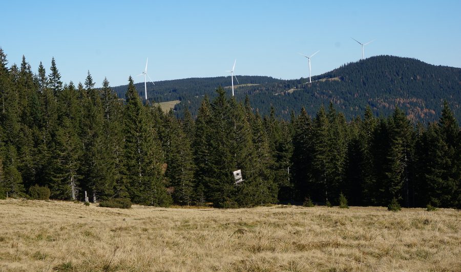 Vue panoramique sur le parc éolien de la Freiländer Alm près de la Stoffhütte en Styrie