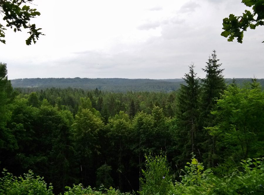 Vue sur le parc national de la Gauja depuis la colline de Rūsiņš