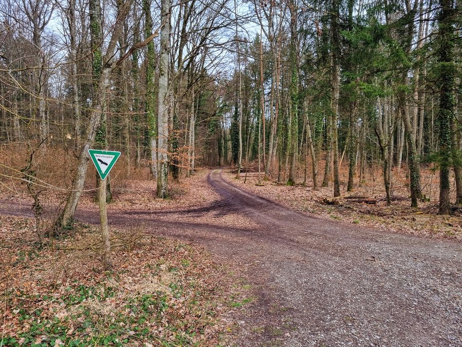 Réserve naturelle du Litzelsee près de Radolfzell et Steißlingen