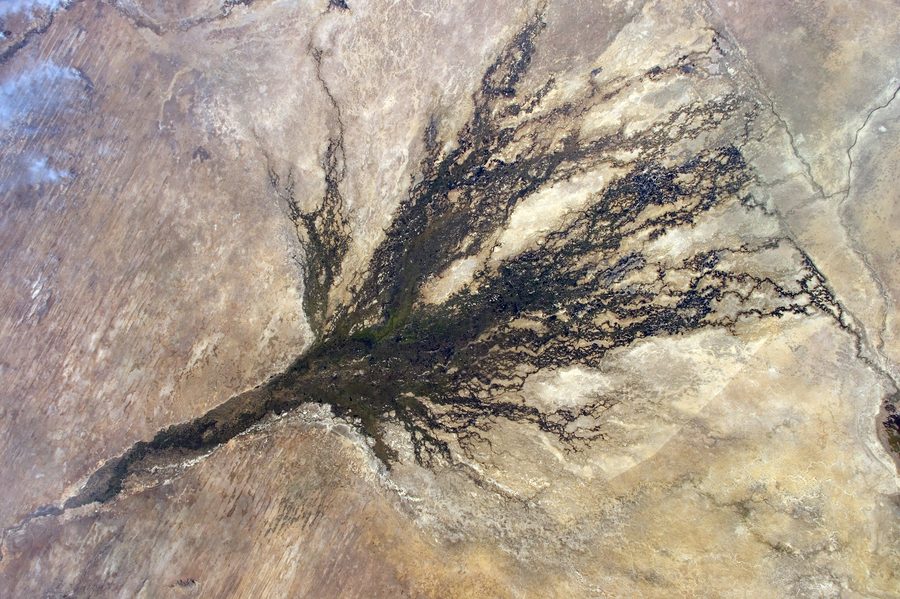 Vue aérienne du delta de l’Okavango au Botswana avec des cours d’eau ramifiés et des zones humides verdoyantes