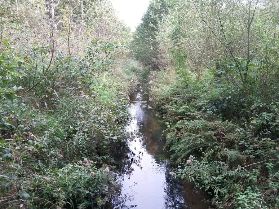 Rivière Fintau dans l’environnement rural de Fintel