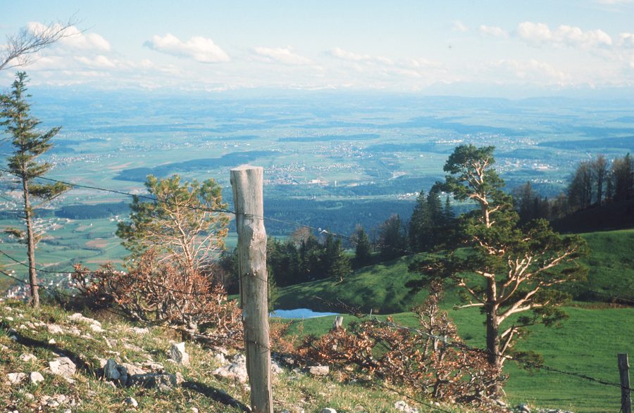 Vue sur les villages du Wasseramt depuis le Niederwiler Stierenberg.