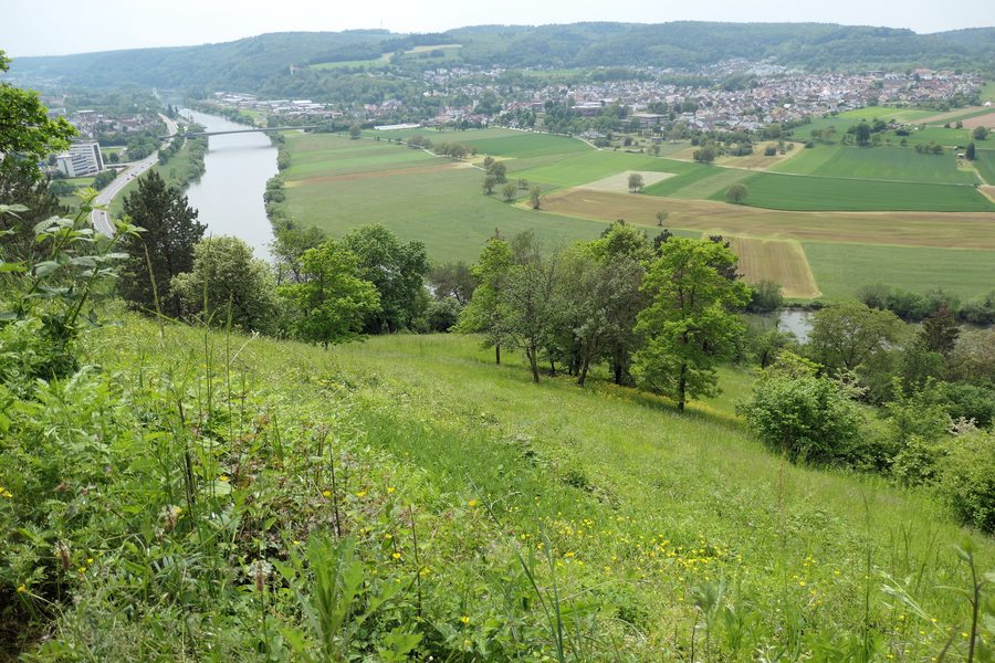 Vue sur la vallée du Neckar vers Obrigheim et les contreforts boisés de l’Odenwald