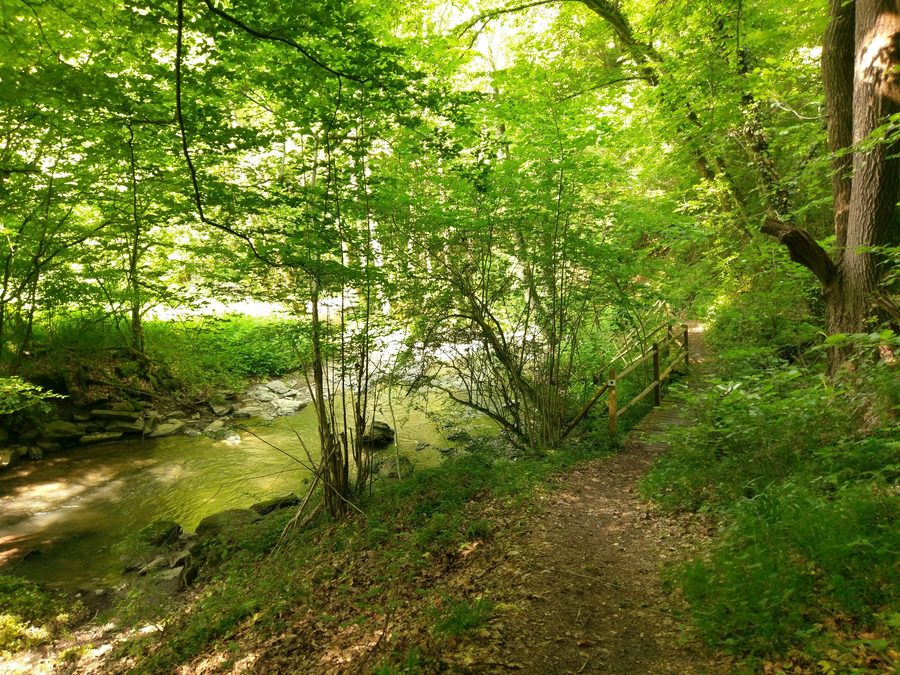 La Dörsbach dans la vallée du Jammertal près de Katzenelnbogen dans le district du Rhin-Lahn