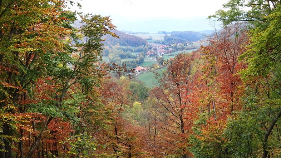 Paysage près d’Asbach dans le parc naturel Eichsfeld-Hainich-Werratal