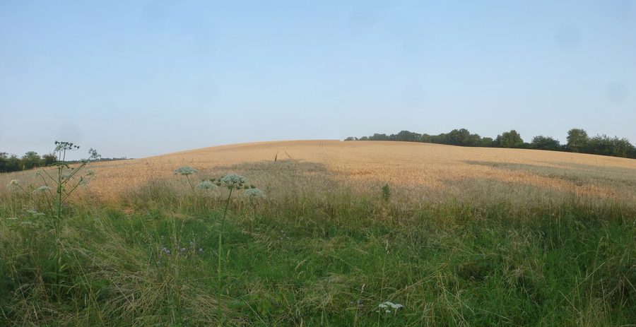 Ancien chemin de patrouille au nord-est de Teistungen à la frontière