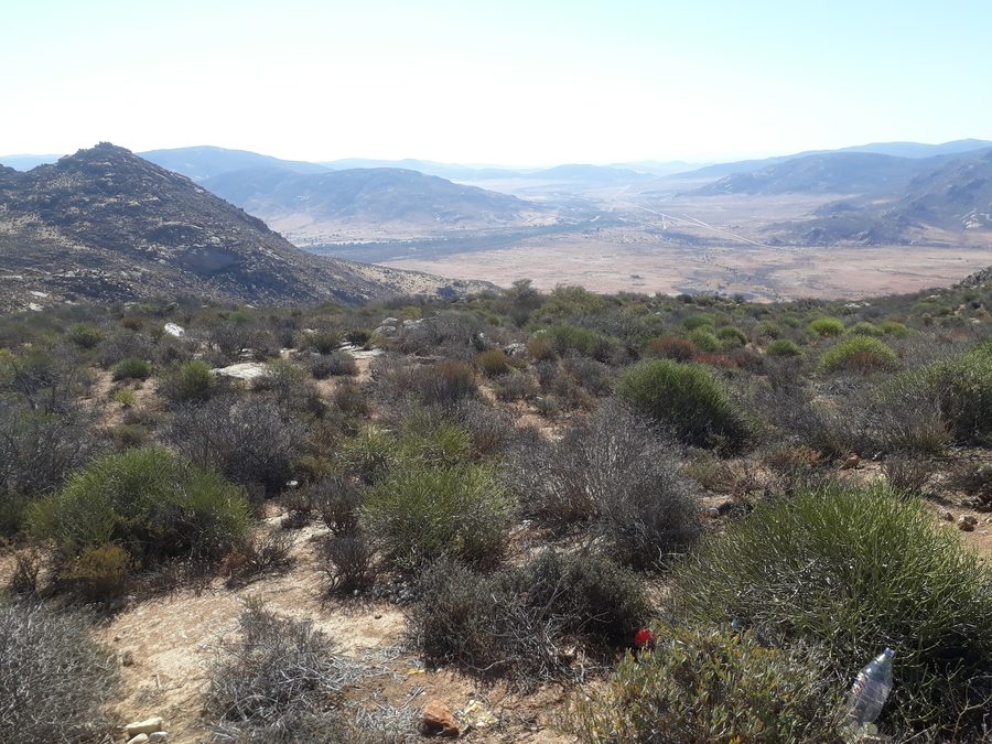 Une route dans l’arrière-pays sud-africain, qui mène vers l’ouest.
